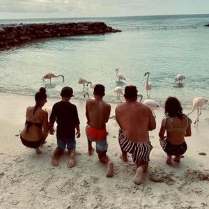 Meet your Posher, Peter